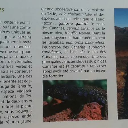 Dulce Maikel Hébergement de vacances